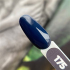 Patrisa Nail Axios Premium Serisi 175 Lacivert Parlak Kalıcı Oje
