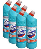 Domestos Okaliptüs Ferahlığı Banyo-Mutfak İçin Konsantre Jel Çamaşır Suyu 6x750 ml