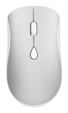 Bewinner Kablosuz Gri-Beyaz Optik Mouse