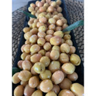 Farga Ayvalık Salamura Yeşil Zeytin 1 kg