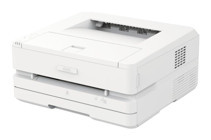 Dell P2500DNW Siyah-Beyaz Wifi Mono Tonerli Lazer Yazıcı