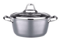Leggno MST2828DT24GR Master Daily Cam Kapaklı Titanyum 24 cm Derin Tencere