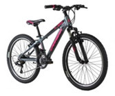Carrera 2664 M6-2000-L 26 Jant 21 Vites Dağ Bisikleti Gri-Pembe