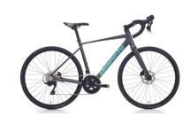 Bianchi Nirone 7 Disc 105 28 Jant 12 Vites Yol / Yarış Bisikleti Füme-Mavi