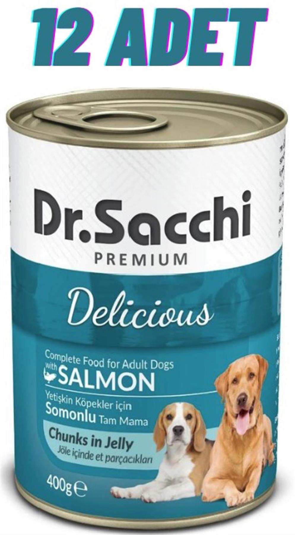 Dr.sacchi Premium Delicious Somonlu Jöleli-Parça Etli Yetişkin Köpek Maması 12 x 400 gr 12'li