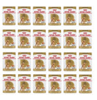 Royal Canin Poodle Kümes Hayvanlı Parça Etli Yetişkin Köpek Maması 24 x 85 gr 24'lü