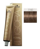 Schwarzkopf Igora Royal Absolutes 7.50 Doğal Altın Kumral Krem Saç Boyası 60 ml