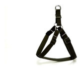 Doggie Comfort Ayarlanabilir Bel Tasması Gezdirme Köpek Tasması Siyah