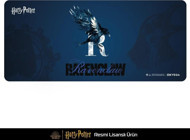 Exvega Harry Potter Hogwarts Ravenclaw 90x40 cm XXL Gaming Mousepad Çok Renkli