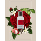 Qarnoza Harmony Night EDP Amber-Odunsu-Sandal Ağacı Kadın Parfüm 100 ml