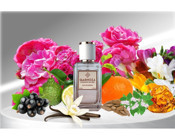 Qarnoza Stay Here EDP Amber-Fresh-Sandal Ağacı Kadın Parfüm 50 ml