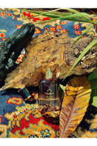 Famak De Fragancia 126 One Million Lucky EDP Baharatlı-Bergamot-Odunsu Kadın Parfüm 50 ml