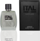 İtal Parfüm Sauvage EDT Baharatlı-Odunsu-Oryantal Erkek Parfüm 100 ml