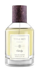 Toi Et Moi Catchy EDP Fresh-Meyveli-Sandal Ağacı Erkek Parfüm 100 ml