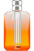 Aqua Di Polo 1987 No.1 EDP Amber-Aromatik-Misk Erkek Parfüm 100 ml