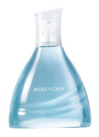 Avon Windscape EDT Odunsu-Oryantal-Turunçgil Erkek Parfüm 75 ml
