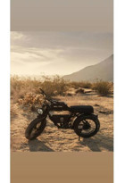 Ape Ryder Bonobo 250 W 100 Km 20 Jant 7 Vites Elektrikli Bisiklet Siyah