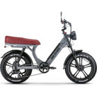 Ape Ryder MD10 250 W 50 Km 20 Jant 7 Vites Elektrikli Bisiklet Gri