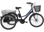 Bisan E-Porter 250 W 25 Km 24 Jant 3 Vites Elektrikli Bisiklet Beyaz - Lacivert - Yeşil