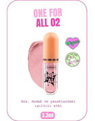 Callista Beauty One For All 02 Pink Cosmos Toz Işıltılı Stick Göz Farı