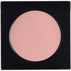 Diego Dalla Palma 154 Pale Pink Toz Mat Tekli Göz Farı
