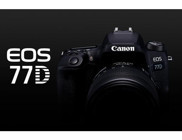 Canon Eos 77D 18-135 mm 4K DSLR Dijital Fotoğraf Makinesi Siyah