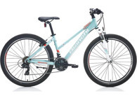 Bianchi Aspid 330H 24 Jant 21 Vites Dağ Bisikleti Gri-Mavi-Siyah