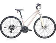 Carraro Sportive 226 26 Jant 24 Vites Şehir / Tur Bisikleti Pembe
