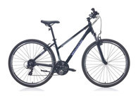 Bianchi T0017FS-L 380H 28 Jant 24 Vites Şehir / Tur Bisikleti Mor-Siyah
