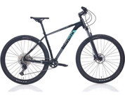Bianchi M0011 480H 29 Jant 12 Vites Dağ Bisikleti Beyaz-Siyah-Yeşil
