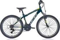 Bianchi Speed 240 24 Jant 21 Vites Dağ Bisikleti Beyaz-Yeşil