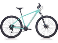 Bianchi MAGMA 480H 29 Jant 24 Vites Dağ Bisikleti Çok Renkli