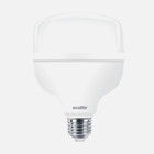 Ecolite Led Jumbo T100 Led Ampul