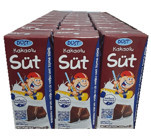 Dost Pastörize Kakaolu Süt 27x200 ml