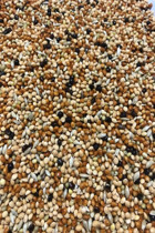 Hobi Karışık Vitaminli Kuş Yemi 5 kg