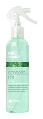 Milkshake Sensorial Mint Nane Aromalı Nemlendirici Tüm Saçlar İçin Durulanmayan Kadın Saç Kremi 250 ml