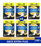 Orkid Ultra Antialerjik Normal 20'li Hijyenik Ped 6 Adet