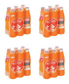 Uludağ Efsane Portakallı Şişe Gazoz 24x250 ml
