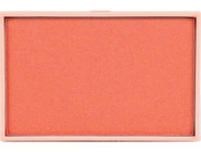 Dora Joy 04 Golden Brick Powder Vegan Işıltılı Toz Allık