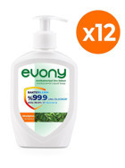 Evony Okaliptus Antibakteriyel Nemlendiricili 12'li Sıvı Sabun 300 ml