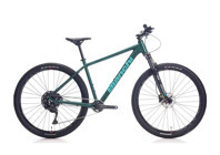 Bianchi 29J Magma 29 Jant 10 Vites Dağ Bisikleti Mat Yeşil
