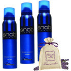 Snob Areon Nature Pudrasız Ter Önleyici Roll-On Erkek Deodorant 3x25 gr