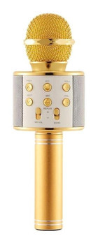 Torima WS-858 AUX Kablolu Altın El Mikrofon