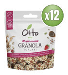Otto Nuts Karışık Granola 12x25 gr