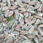 Fıstıkçı Pazarı Taze Gaziantep Tane Antep Fıstığı 4 kg