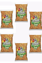Jungle Kabuklu Sade Vitaminli Yavru - Yetişkin Kuş Yemi 6 x 500 gr