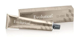 Alfaparf Evolution Çok Açık Küllü Dore 9.13 Krem Saç Boyası 60 ml