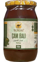 Bal Kervanı Kartepe Organik Süzme Çam Balı 450 gr