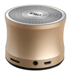 Ewa A109 5 W Gold Bluetooth Hoparlör