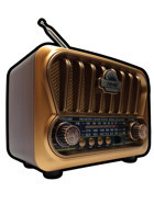 MN6 NS-09 5 W Radyolu Altın Bluetooth Hoparlör